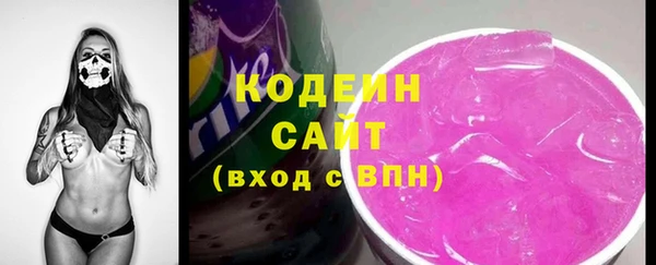 мдпв Вяземский